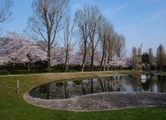 亀岡運動公園および周辺