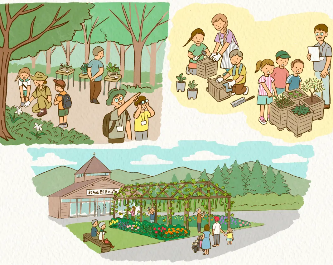 わち山野草の森