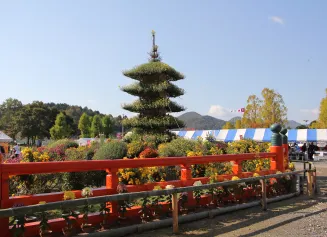 京都府丹波自然運動公園