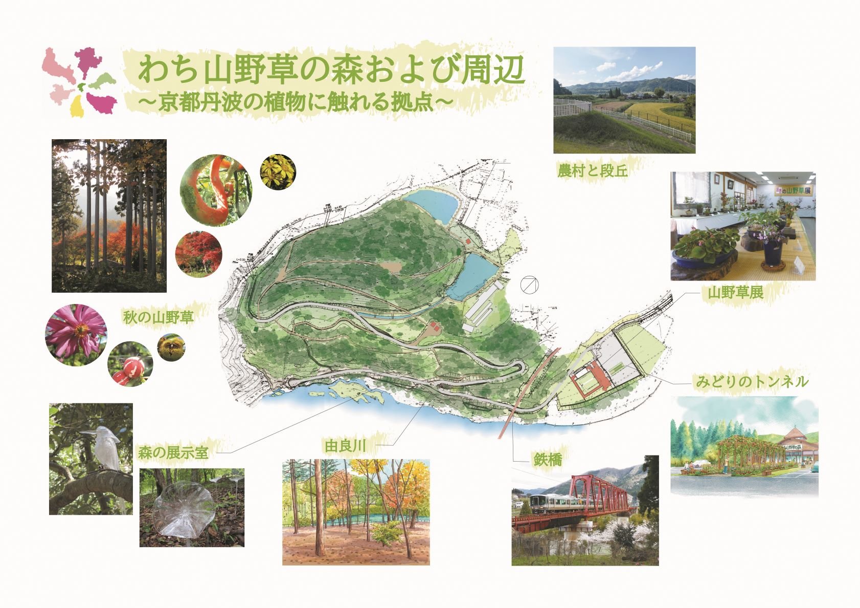 わち山野草の森 レイアウト(Mサイズ).jpg